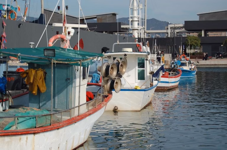 Juan Arbelaez dévoile ses adresses coup de cœur au Pays Basque, un paradis pour les amateurs de poisson